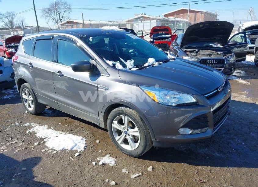 2014 Ford Escape SE (VIN 1FMCU0GX4EUE37676) main photo