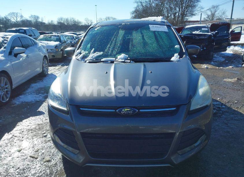 Photo 12 of 2014 Ford Escape SE (VIN 1FMCU0GX4EUE37676)
