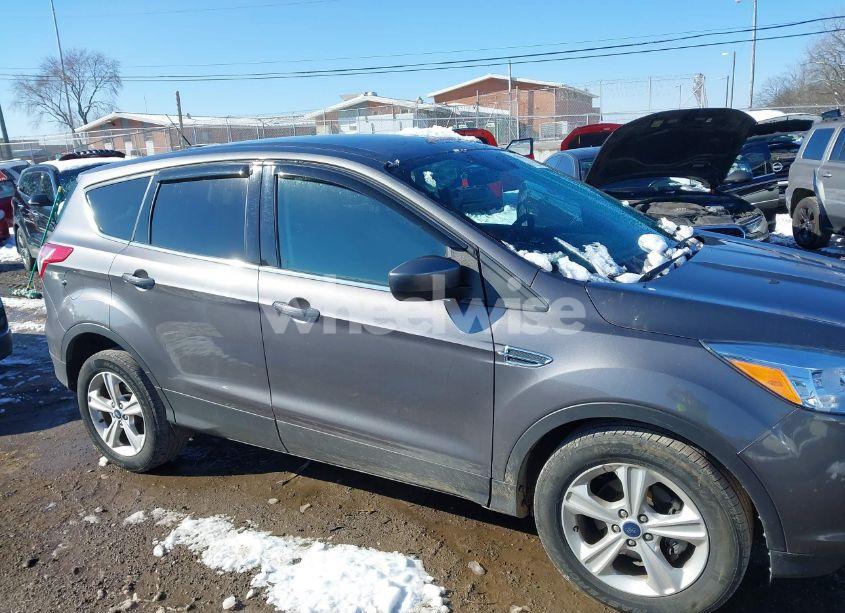 Photo 13 of 2014 Ford Escape SE (VIN 1FMCU0GX4EUE37676)