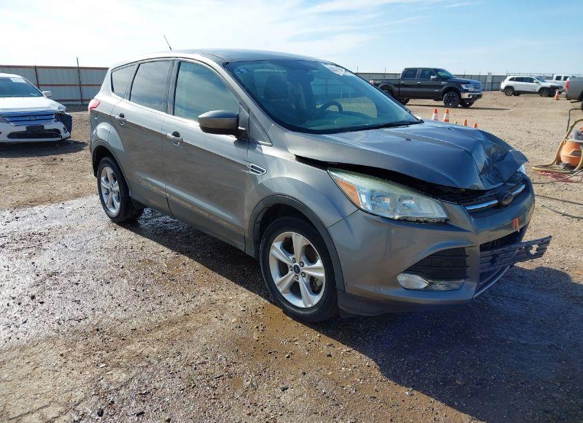 2014 Ford Escape SE (VIN 1FMCU0GX4EUE51951) main photo