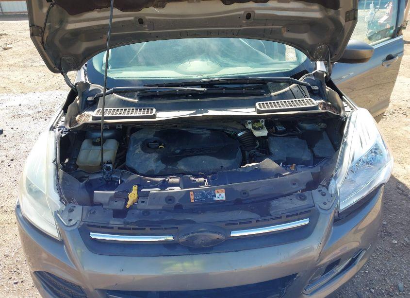 Photo 10 of 2014 Ford Escape SE (VIN 1FMCU0GX4EUE51951)