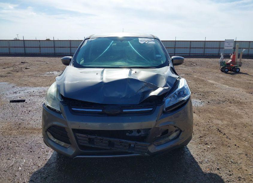 Photo 12 of 2014 Ford Escape SE (VIN 1FMCU0GX4EUE51951)