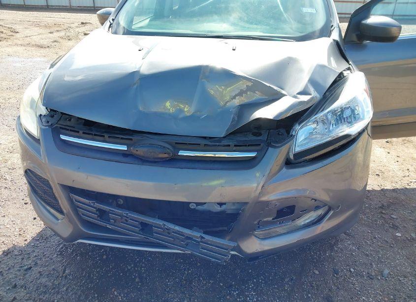 Photo 6 of 2014 Ford Escape SE (VIN 1FMCU0GX4EUE51951)