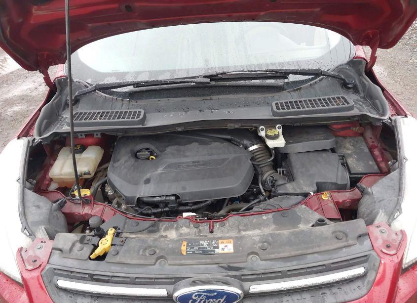 Photo 10 of 2015 Ford Escape SE (VIN 1FMCU0GX4FUA05476)