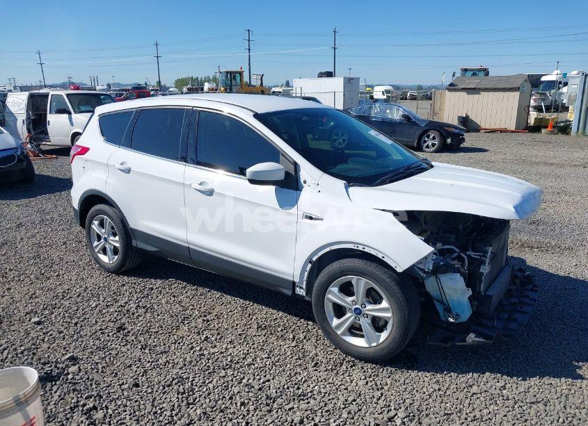 2016 Ford Escape SE (VIN 1FMCU0GX4GUB99394) main photo