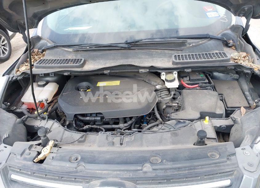 Photo 10 of 2013 Ford Escape SE (VIN 1FMCU0GX5DUA10943)