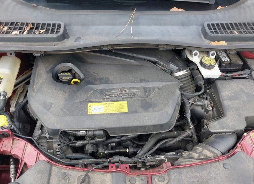 Photo 10 of 2013 Ford Escape SE (VIN 1FMCU0GX5DUA76828)