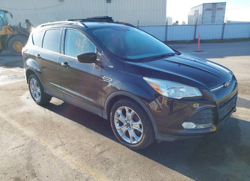 2013 Ford Escape SE (VIN 1FMCU0GX5DUB40351) main photo
