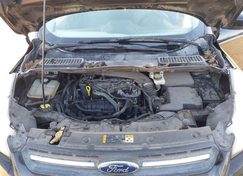 Photo 10 of 2013 Ford Escape SE (VIN 1FMCU0GX5DUB40351)