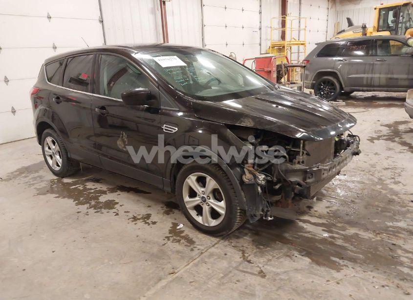 2013 Ford Escape SE (VIN 1FMCU0GX5DUC00368) main photo