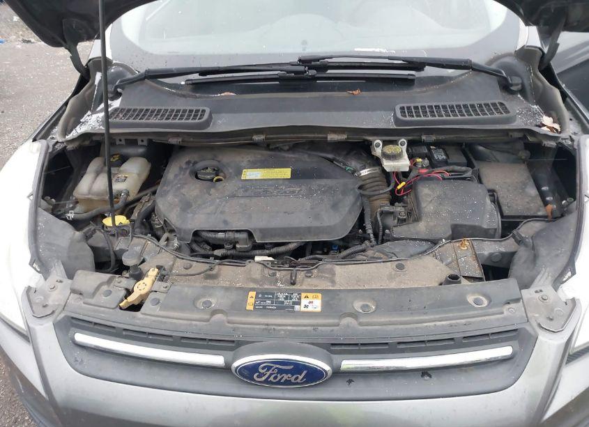 Photo 10 of 2013 Ford Escape SE (VIN 1FMCU0GX5DUC99077)