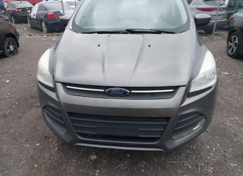 Photo 6 of 2013 Ford Escape SE (VIN 1FMCU0GX5DUC99077)