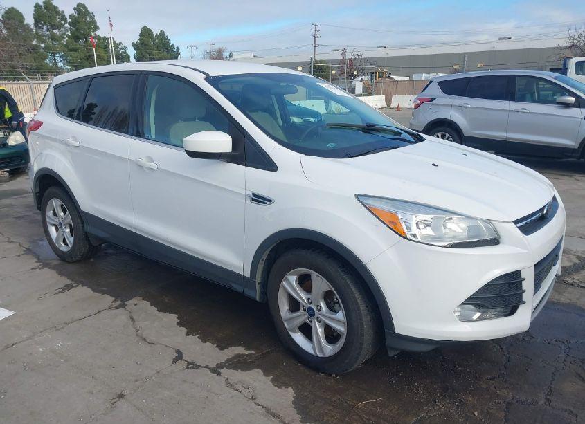 2013 Ford Escape SE (VIN 1FMCU0GX5DUD39593) main photo