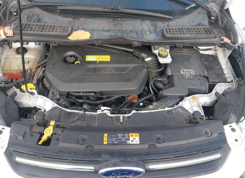 Photo 10 of 2013 Ford Escape SE (VIN 1FMCU0GX5DUD39593)