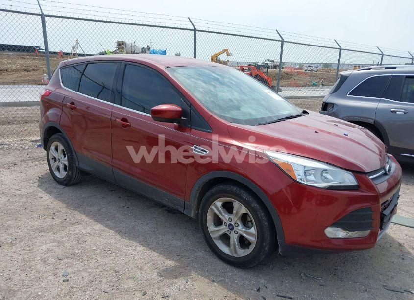2014 Ford Escape SE (VIN 1FMCU0GX5EUA58458) main photo