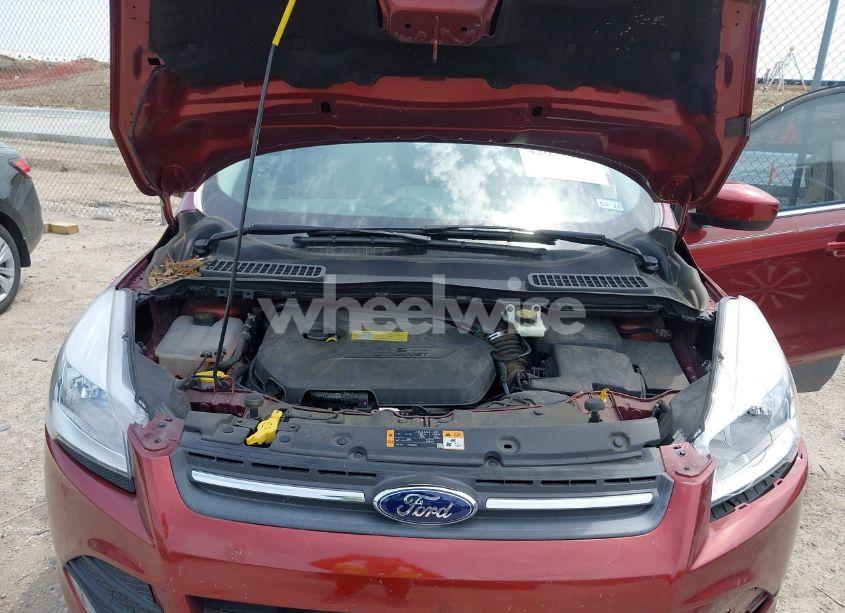 Photo 10 of 2014 Ford Escape SE (VIN 1FMCU0GX5EUA58458)
