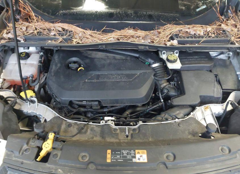 Photo 10 of 2014 Ford Escape SE (VIN 1FMCU0GX5EUA71260)