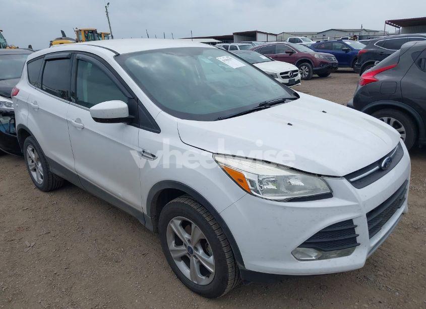 2014 Ford Escape SE (VIN 1FMCU0GX5EUA85076) main photo