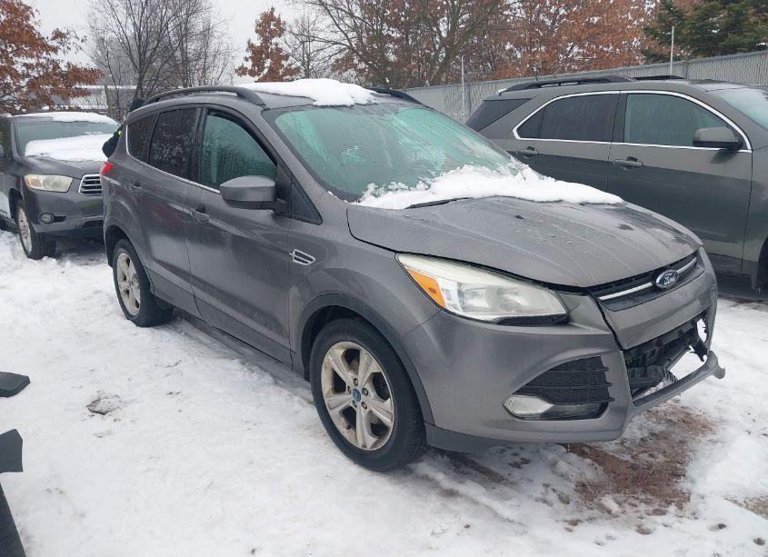 2014 Ford Escape SE (VIN 1FMCU0GX5EUA90651) main photo