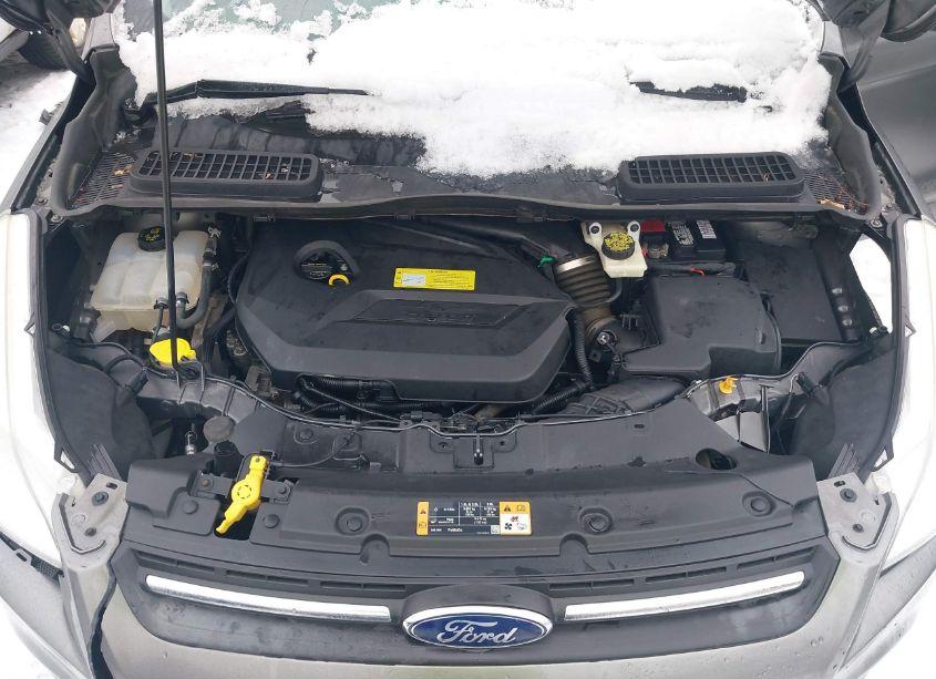 Photo 10 of 2014 Ford Escape SE (VIN 1FMCU0GX5EUA90651)