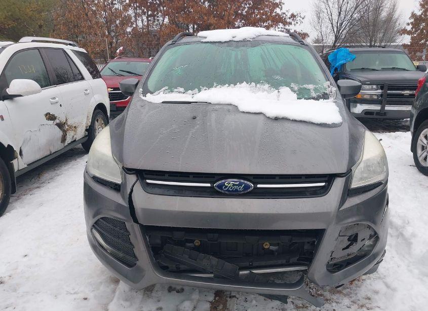 Photo 12 of 2014 Ford Escape SE (VIN 1FMCU0GX5EUA90651)