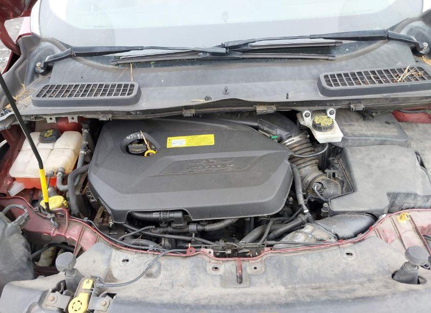 Photo 10 of 2014 Ford Escape SE (VIN 1FMCU0GX5EUB81385)