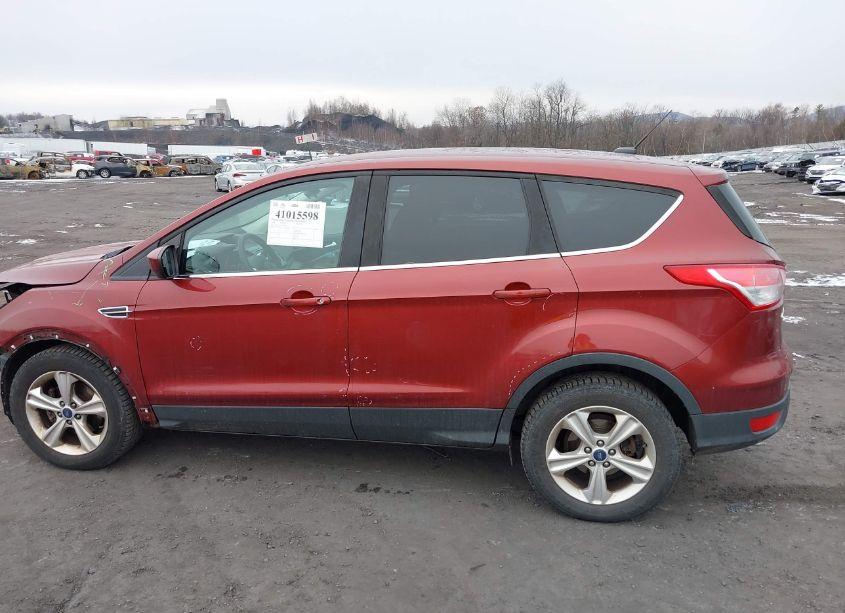 Photo 13 of 2014 Ford Escape SE (VIN 1FMCU0GX5EUB81385)