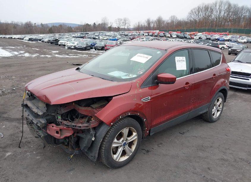 Photo 2 of 2014 Ford Escape SE (VIN 1FMCU0GX5EUB81385)