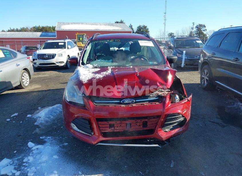 Photo 12 of 2014 Ford Escape SE (VIN 1FMCU0GX5EUB93780)