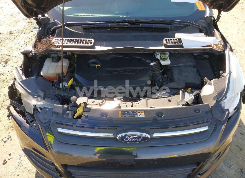 Photo 10 of 2014 Ford Escape SE (VIN 1FMCU0GX5EUD50210)