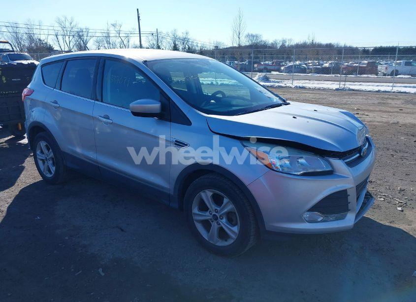 2014 Ford Escape SE (VIN 1FMCU0GX5EUD85183) main photo