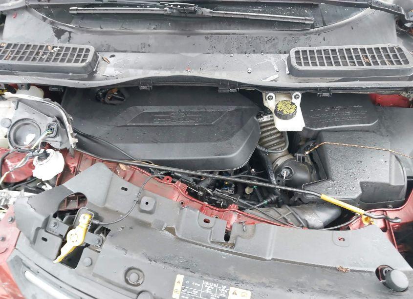 Photo 10 of 2014 Ford Escape SE (VIN 1FMCU0GX5EUE46497)