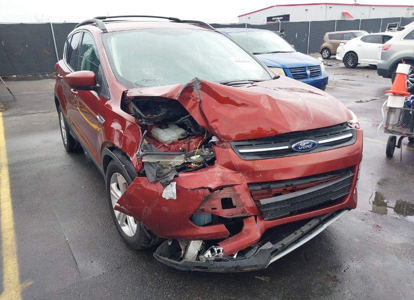 Photo 6 of 2014 Ford Escape SE (VIN 1FMCU0GX5EUE46497)