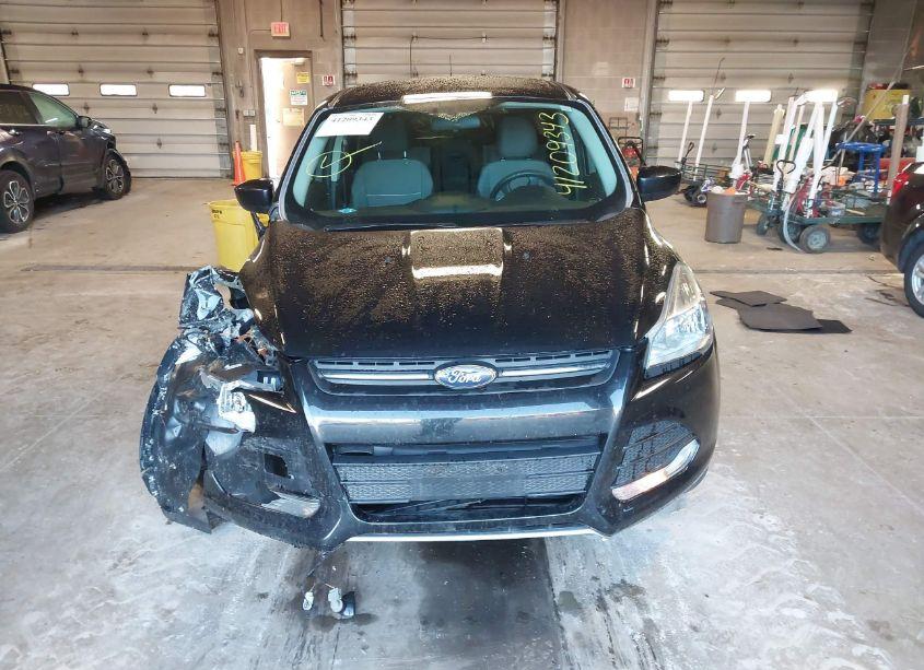 Photo 12 of 2015 Ford Escape SE (VIN 1FMCU0GX5FUA04983)