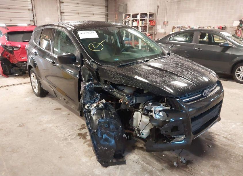 Photo 6 of 2015 Ford Escape SE (VIN 1FMCU0GX5FUA04983)