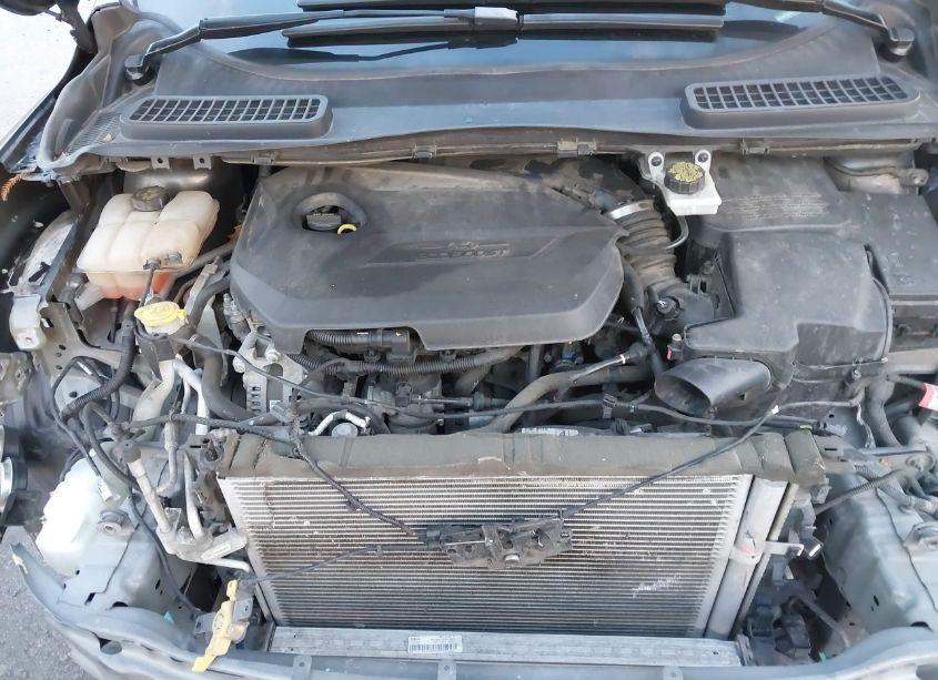 Photo 10 of 2015 Ford Escape SE (VIN 1FMCU0GX5FUA52077)