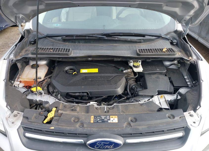 Photo 10 of 2015 Ford Escape SE (VIN 1FMCU0GX5FUA90005)