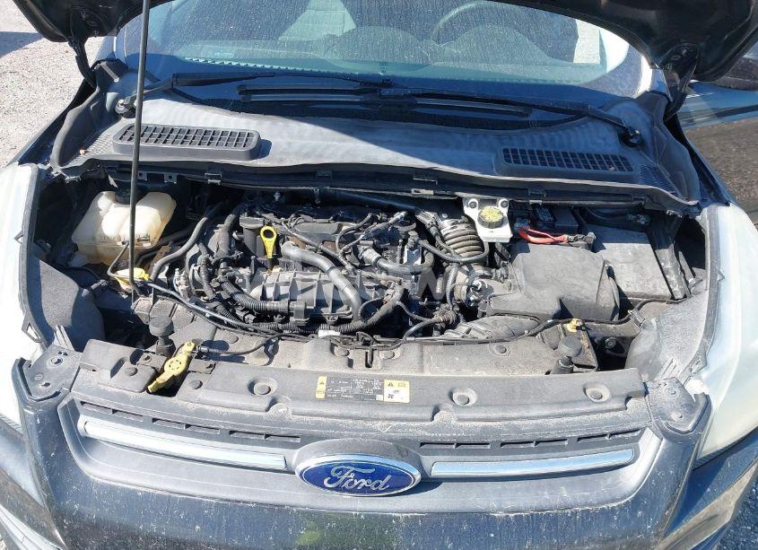 Photo 10 of 2015 Ford Escape SE (VIN 1FMCU0GX5FUB46296)