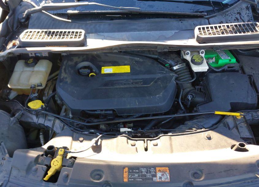 Photo 10 of 2015 Ford Escape SE (VIN 1FMCU0GX5FUB95854)