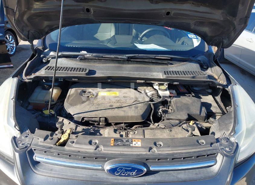 Photo 10 of 2015 Ford Escape SE (VIN 1FMCU0GX5FUC14242)