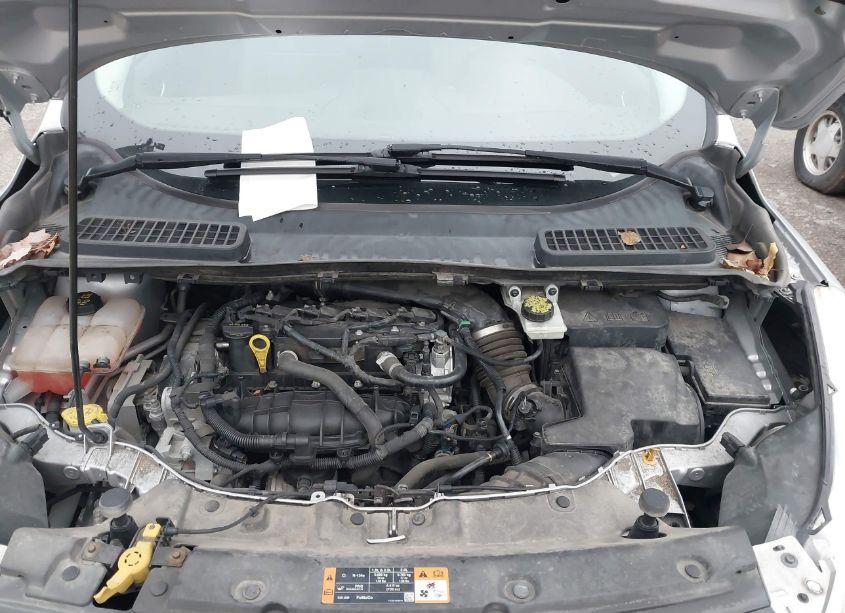 Photo 10 of 2015 Ford Escape SE (VIN 1FMCU0GX5FUC62128)