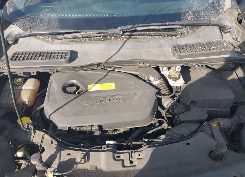 Photo 10 of 2016 Ford Escape SE (VIN 1FMCU0GX5GUB15681)