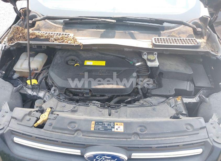 Photo 10 of 2016 Ford Escape SE (VIN 1FMCU0GX5GUB46476)