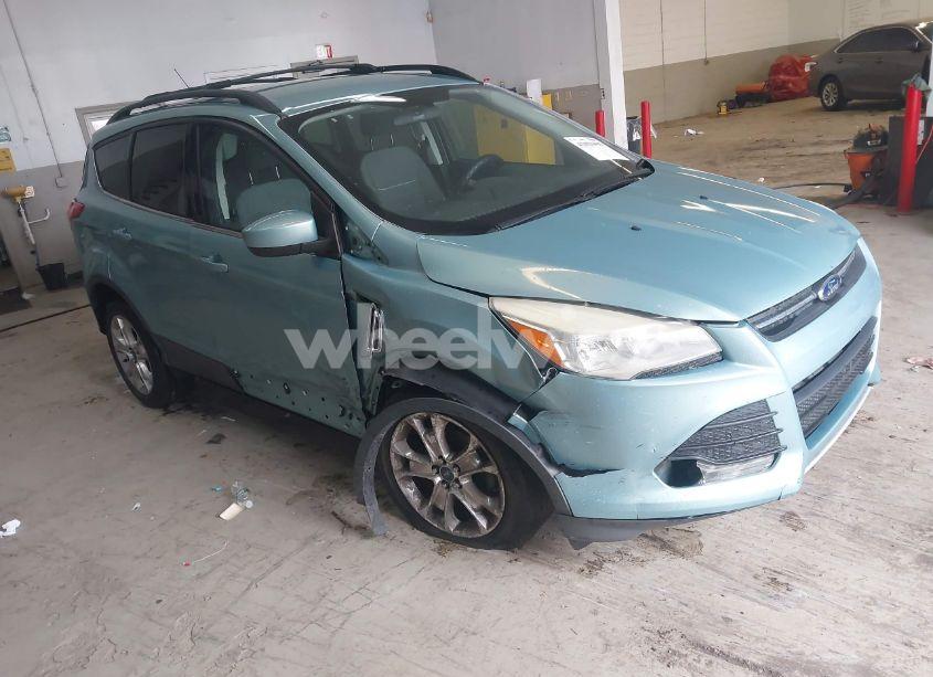 2013 Ford Escape SE (VIN 1FMCU0GX6DUC09872) main photo