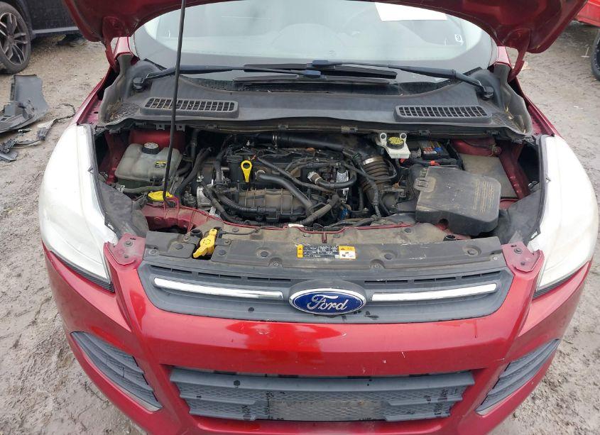 Photo 10 of 2013 Ford Escape SE (VIN 1FMCU0GX6DUC69327)