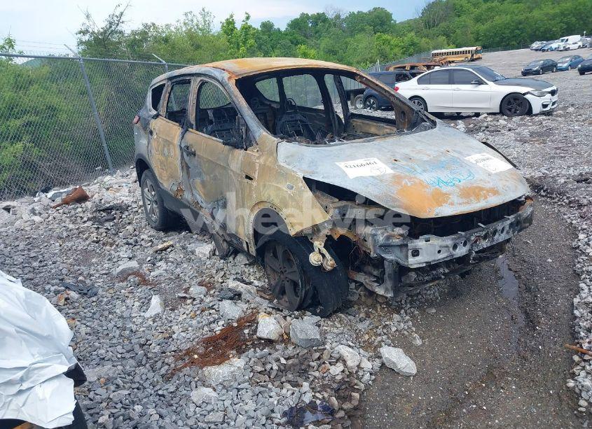 2013 Ford Escape SE (VIN 1FMCU0GX6DUD90875) main photo