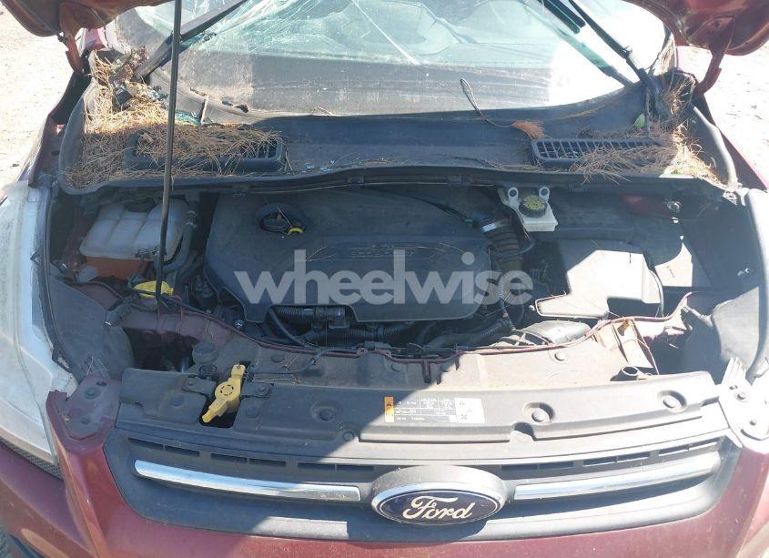 Photo 10 of 2014 Ford Escape SE (VIN 1FMCU0GX6EUA37196)