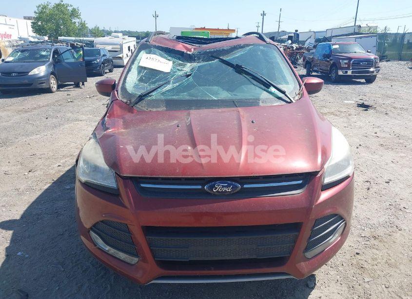 Photo 12 of 2014 Ford Escape SE (VIN 1FMCU0GX6EUA37196)