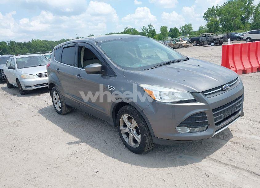 2014 Ford Escape SE (VIN 1FMCU0GX6EUA68254) main photo