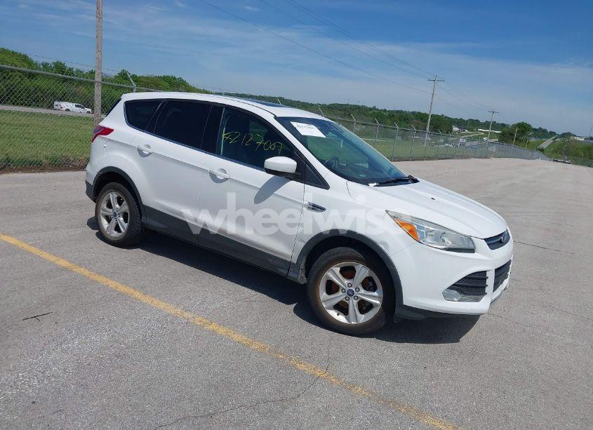 2014 Ford Escape SE (VIN 1FMCU0GX6EUA78282) main photo